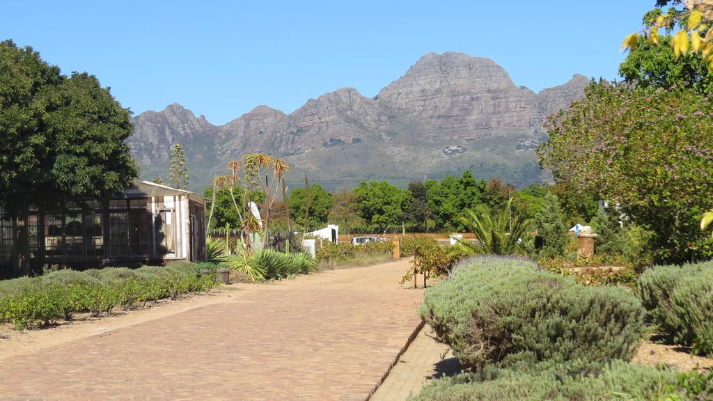 Apartament De Oude Schuur Stellenbosch Pokój zdjęcie