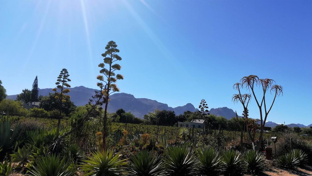 Apartament De Oude Schuur Stellenbosch Zewnętrze zdjęcie